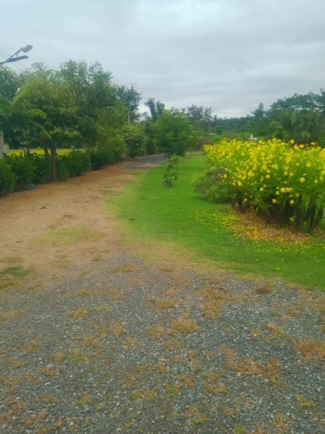 Ban Chang Klang Na Nong ap Chang Buitenkant foto