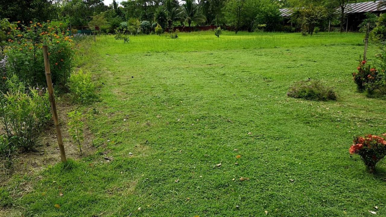 Ban Chang Klang Na Nong ap Chang Buitenkant foto