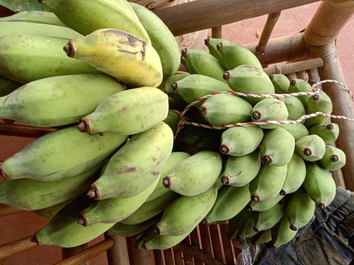 Ban Chang Klang Na Nong ap Chang Buitenkant foto