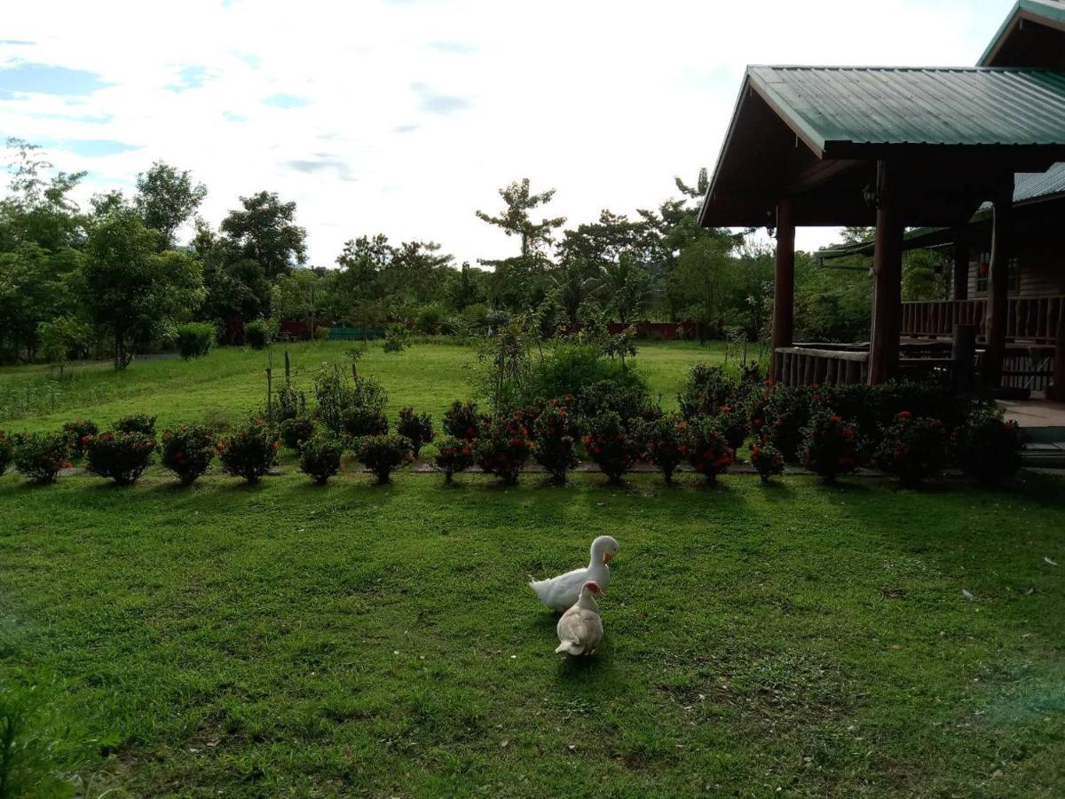 Ban Chang Klang Na Nong ap Chang Buitenkant foto