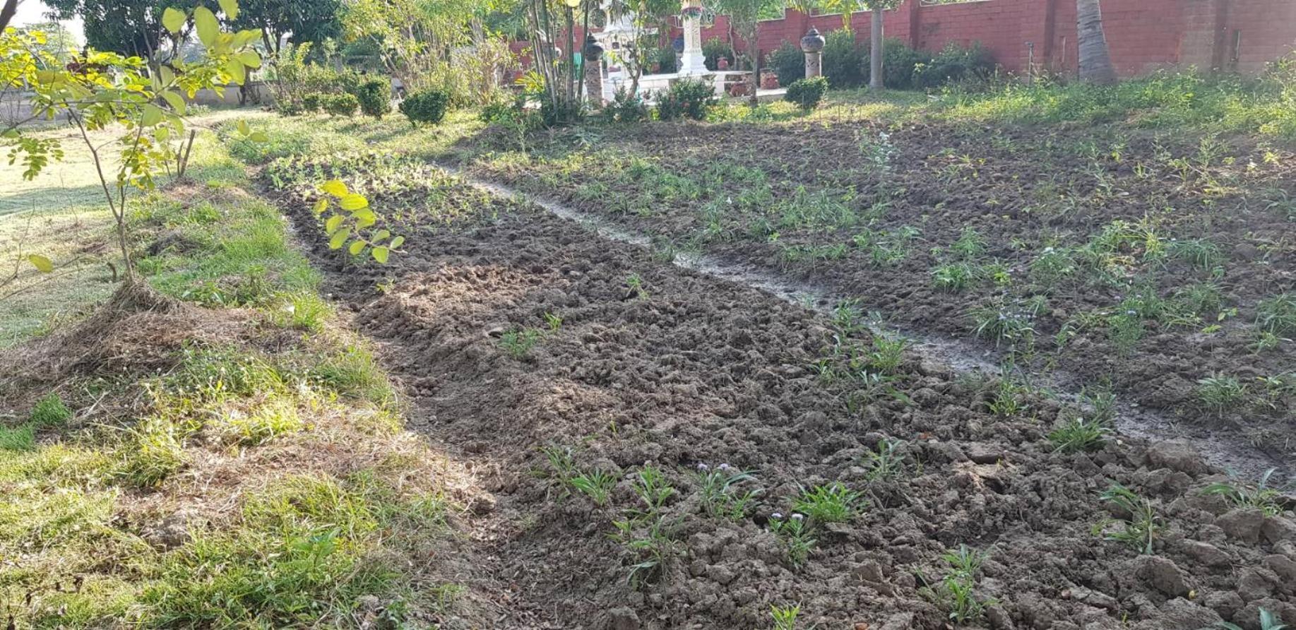 Ban Chang Klang Na Nong ap Chang Buitenkant foto