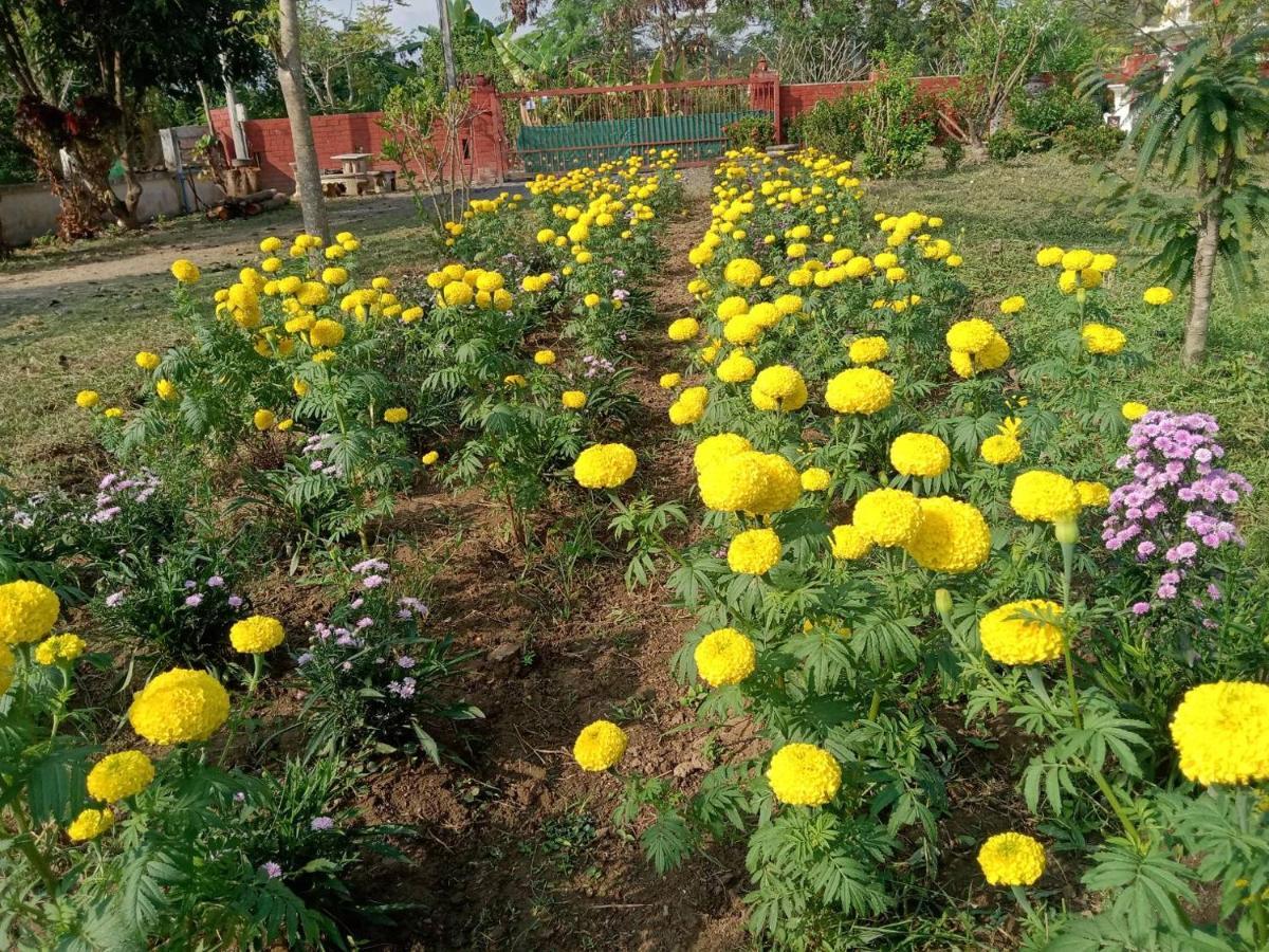 Ban Chang Klang Na Nong ap Chang Buitenkant foto
