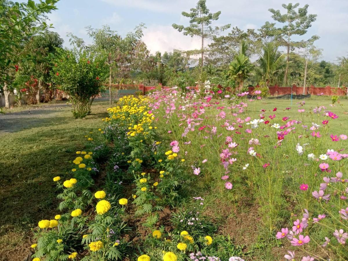 Ban Chang Klang Na Nong ap Chang Buitenkant foto