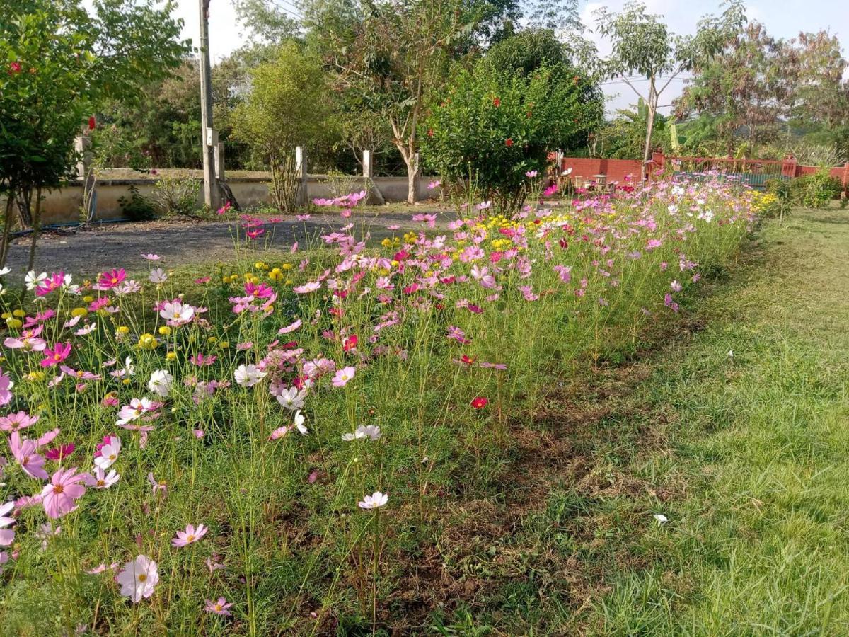 Ban Chang Klang Na Nong ap Chang Buitenkant foto