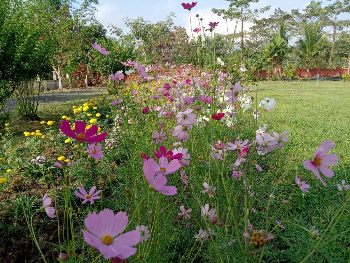 Ban Chang Klang Na Nong ap Chang Buitenkant foto
